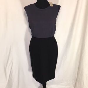 New W/ Tags The Loft Brand Dress